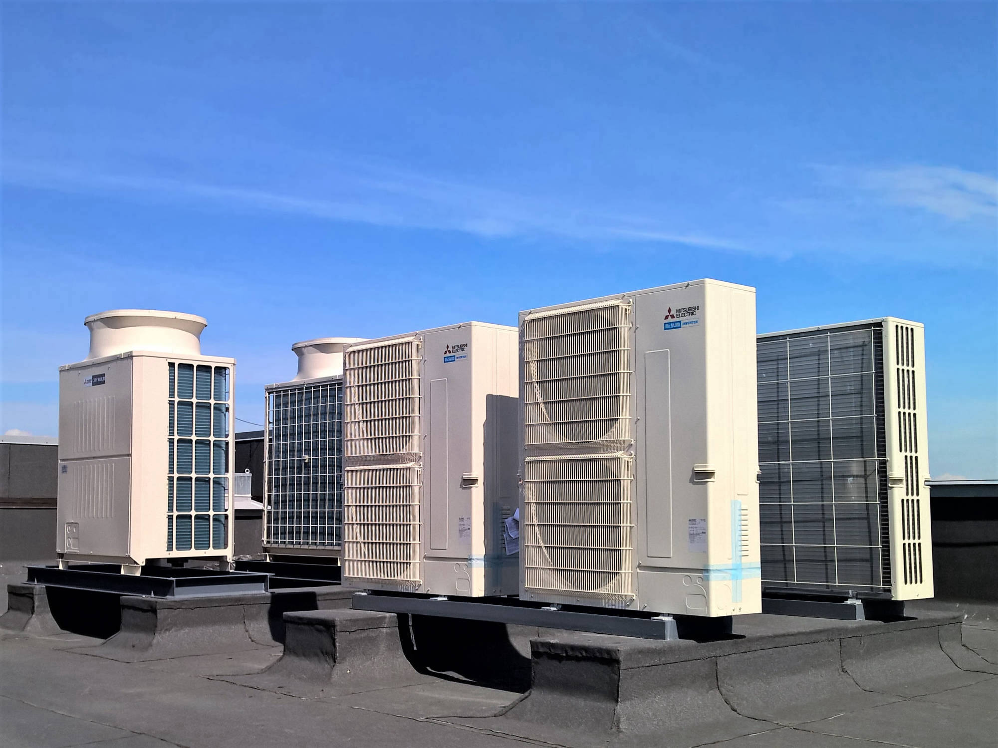 Экспертиза vrf 